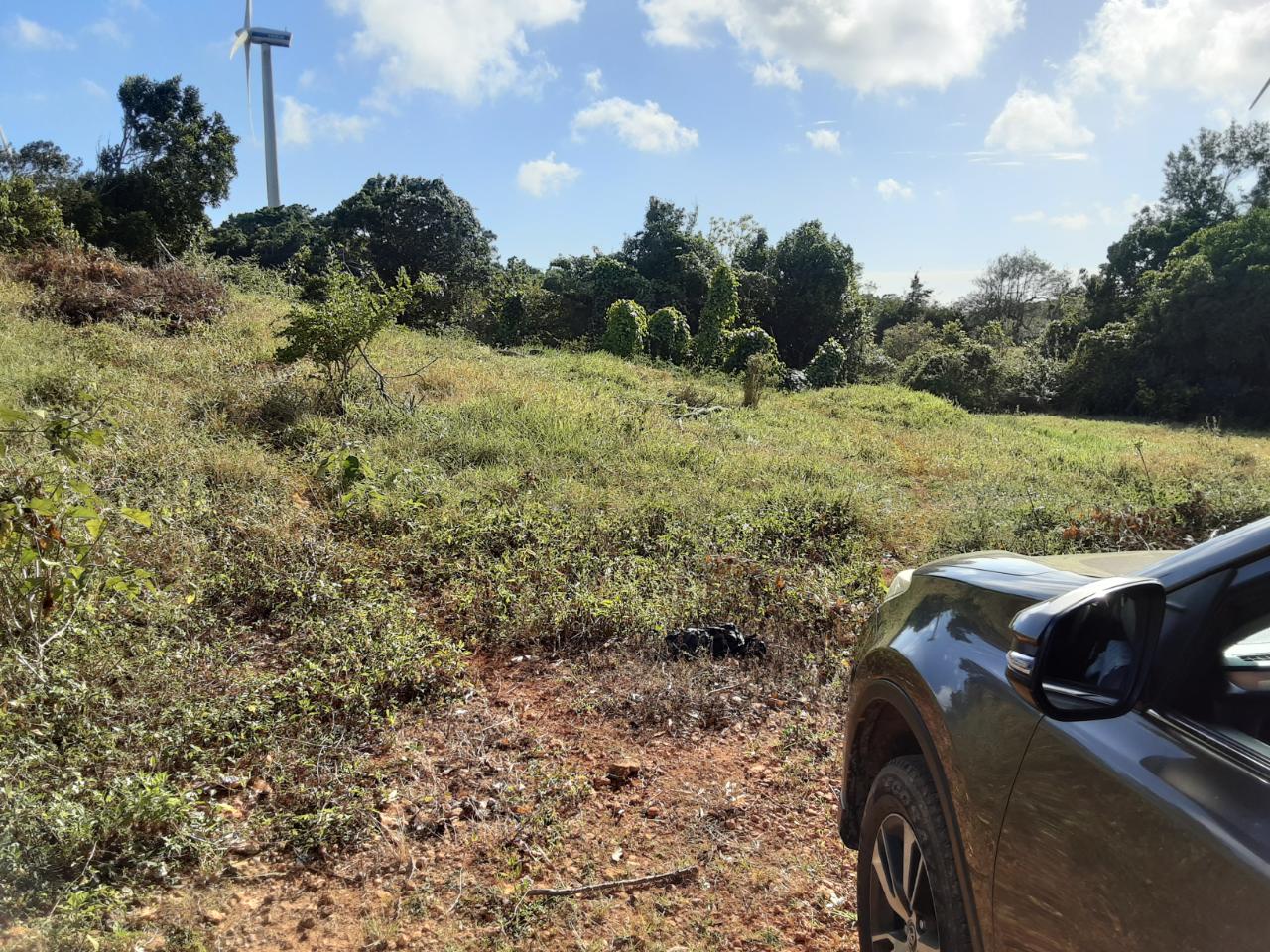 Twelfth image of Lot 12 Rose Hill in Mandeville, Manchester, Jamaica - property is For Sale