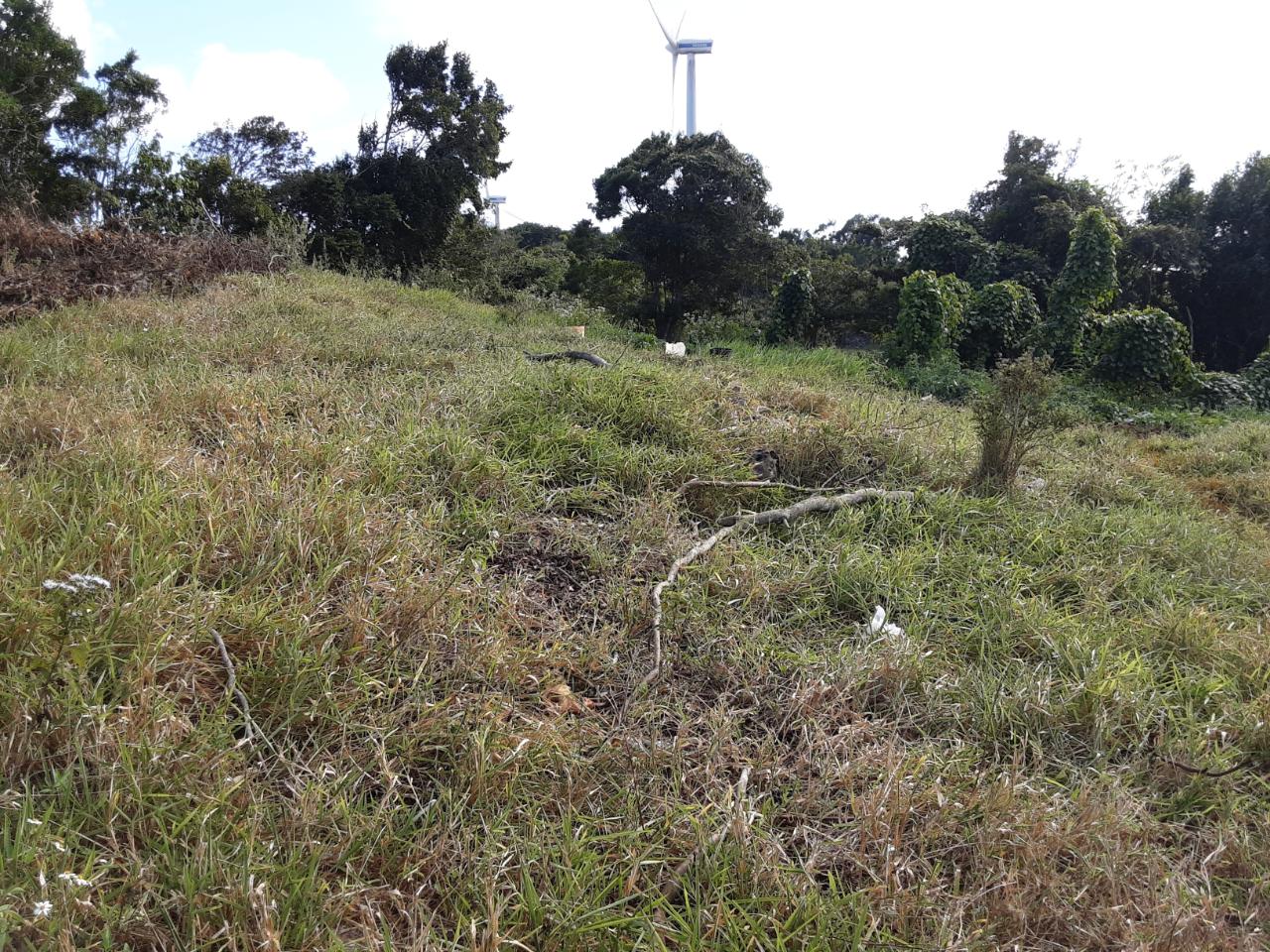 Fourth image of Lot 15 Rose Hill in Mandeville, Manchester, Jamaica - property is For Sale