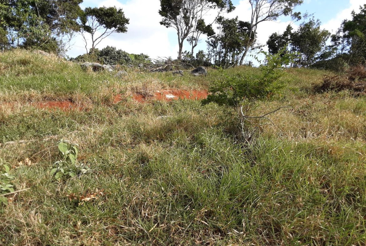 Seventh image of Lot 15 Rose Hill in Mandeville, Manchester, Jamaica - property is For Sale