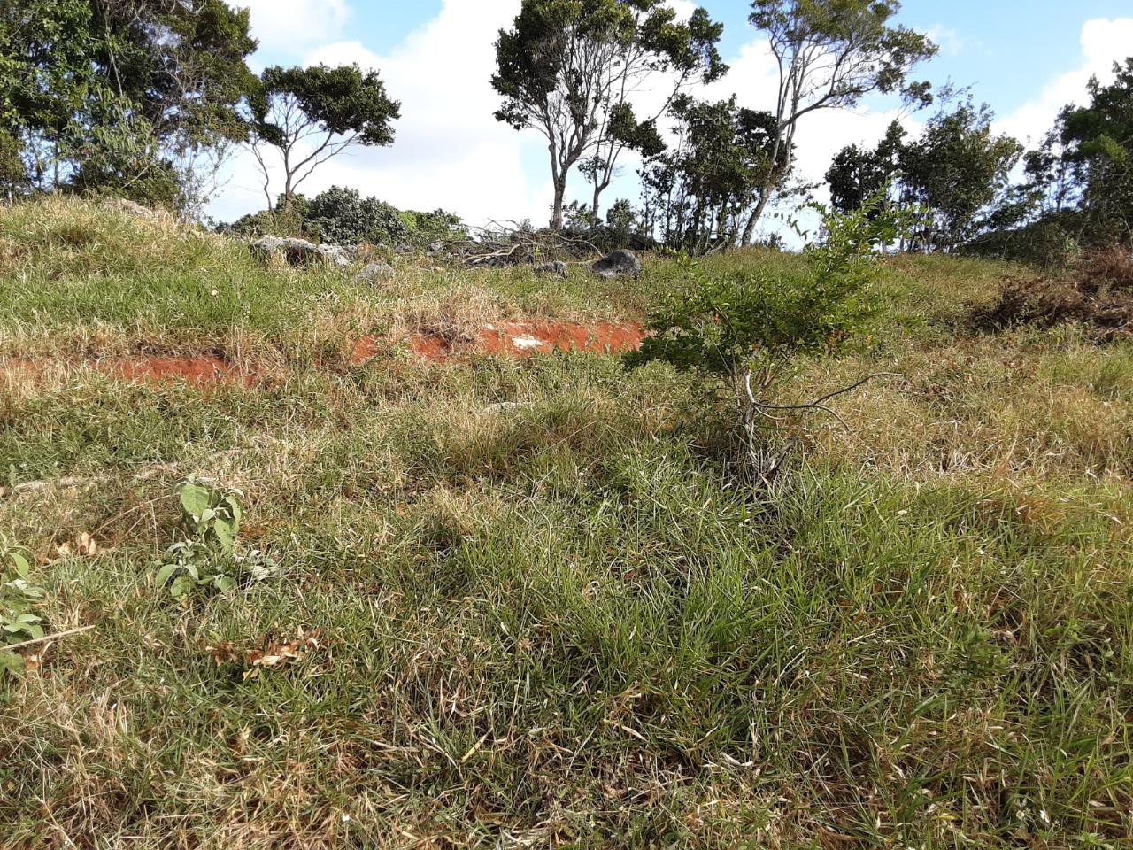 Seventh image of Lot 15 Rose Hill in Mandeville, Manchester, Jamaica - property is For Sale