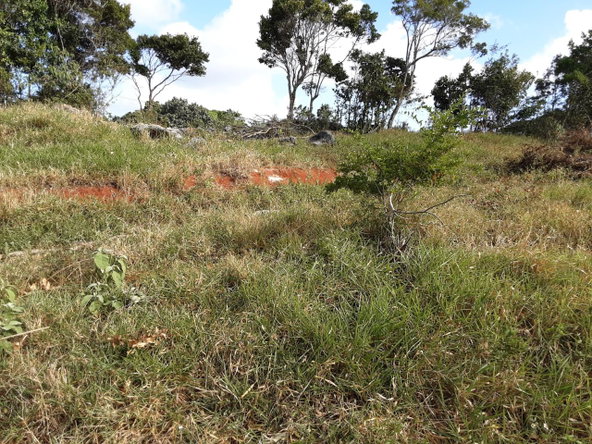 Seventh image of Lot 15 Rose Hill in Mandeville, Manchester, Jamaica - property is For Sale