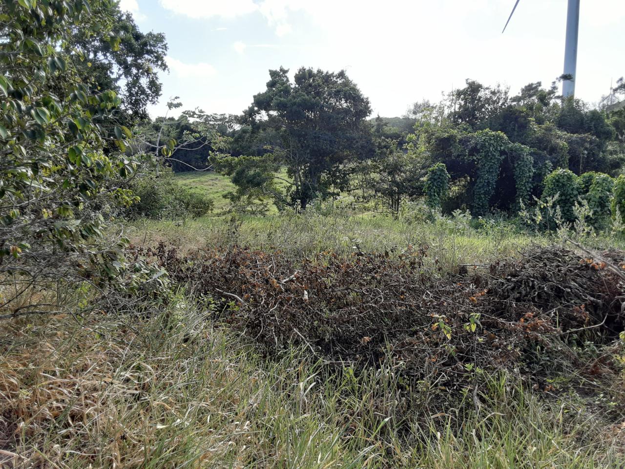 First image of Lot 15 Rose Hill in Mandeville, Manchester, Jamaica - property is For Sale