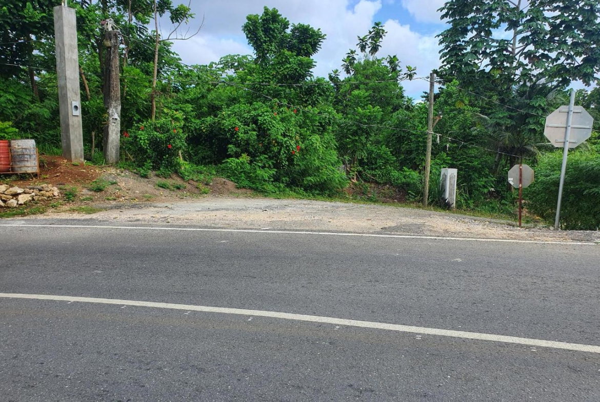 Twelfth image of Lot 7 Ross Craig, Long Bay, Por in Long Bay, Portland, Jamaica - property is For Sale