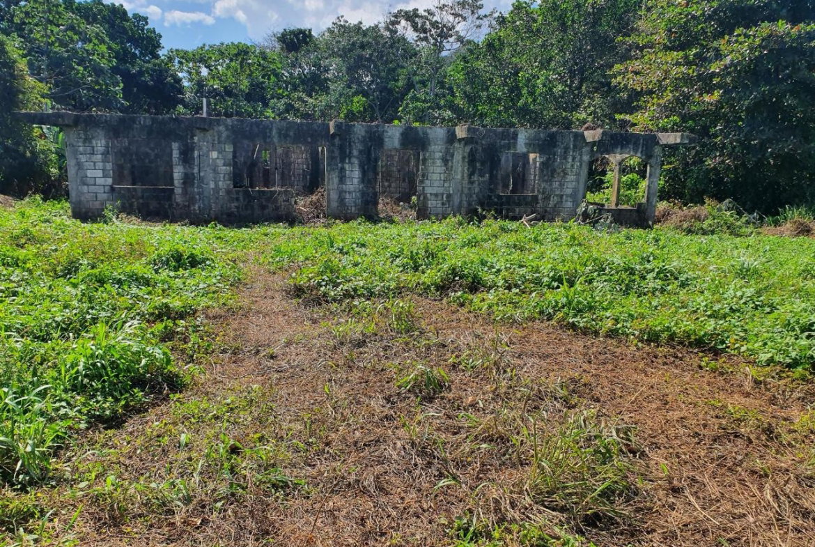 Ninth image of Lot 7 Ross Craig, Long Bay, Por in Long Bay, Portland, Jamaica - property is For Sale