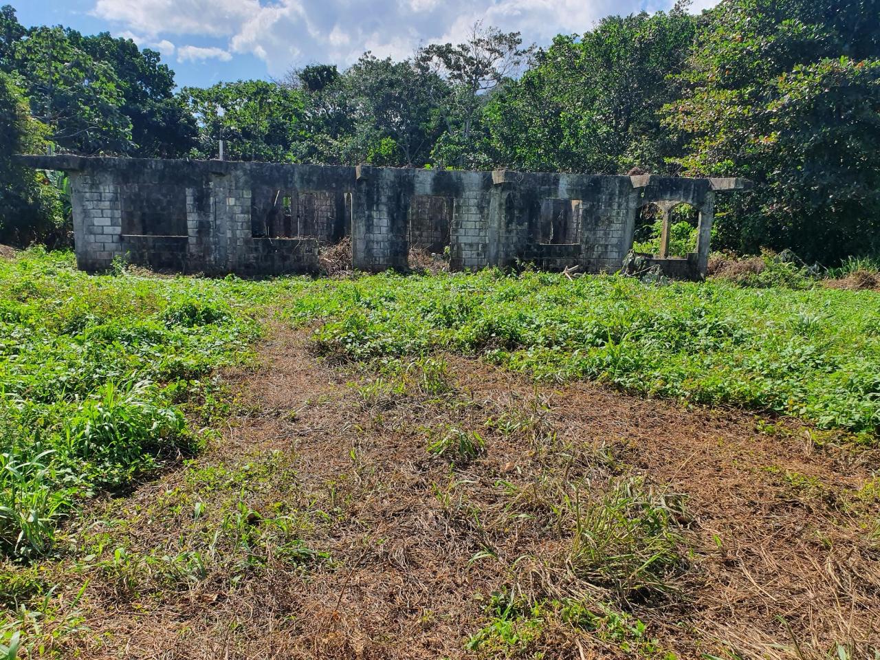 Ninth image of Lot 7 Ross Craig, Long Bay, Por in Long Bay, Portland, Jamaica - property is For Sale