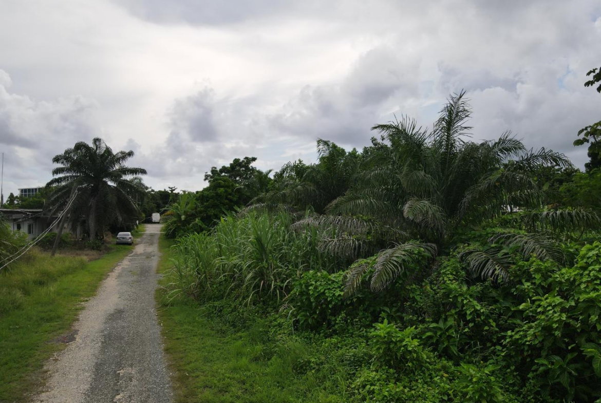 Tenth image of Lot 7 Ross Craig, Long Bay, Por in Long Bay, Portland, Jamaica - property is For Sale