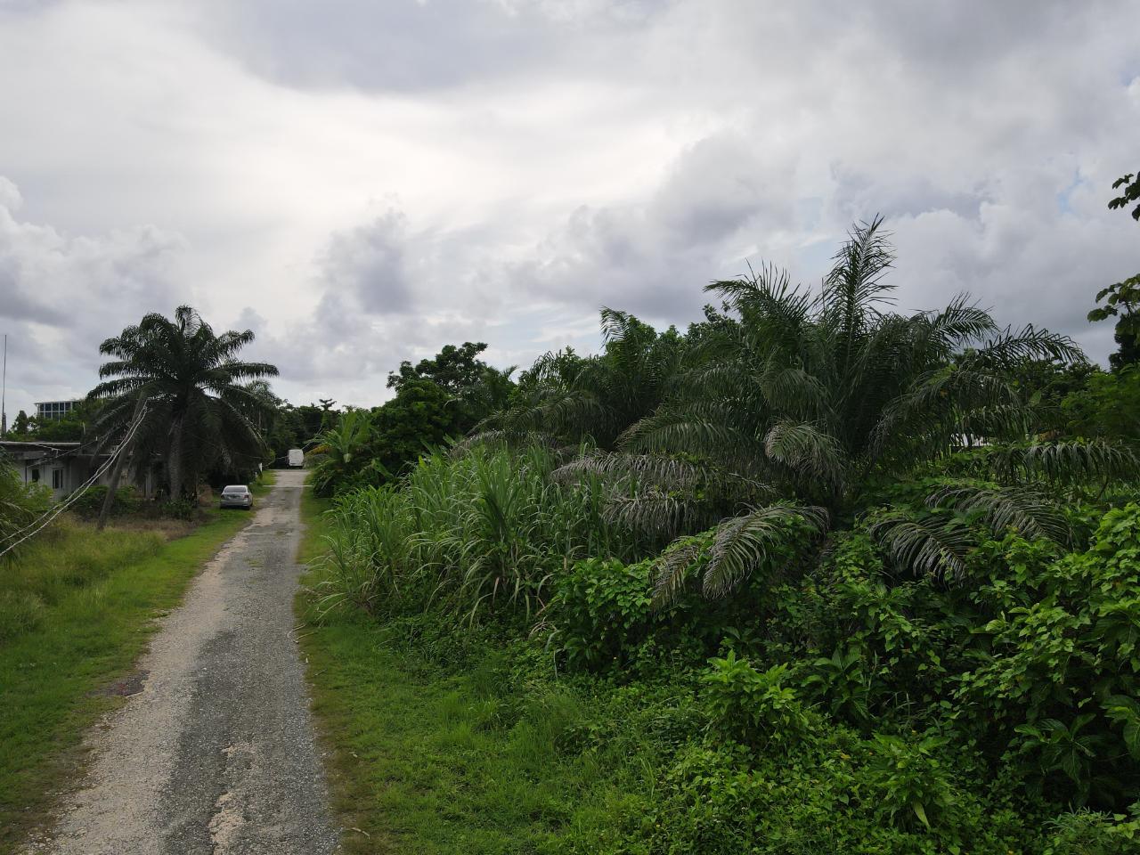 Tenth image of Lot 7 Ross Craig, Long Bay, Por in Long Bay, Portland, Jamaica - property is For Sale