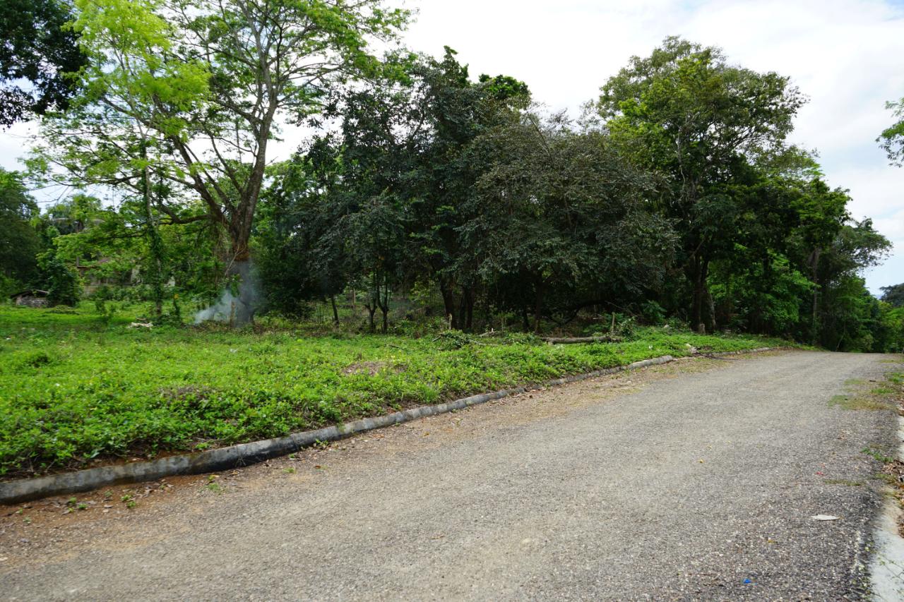 Third image of 3 Brighton Green, Brighton, in Santa Cruz, St. Elizabeth, Jamaica - property is For Sale