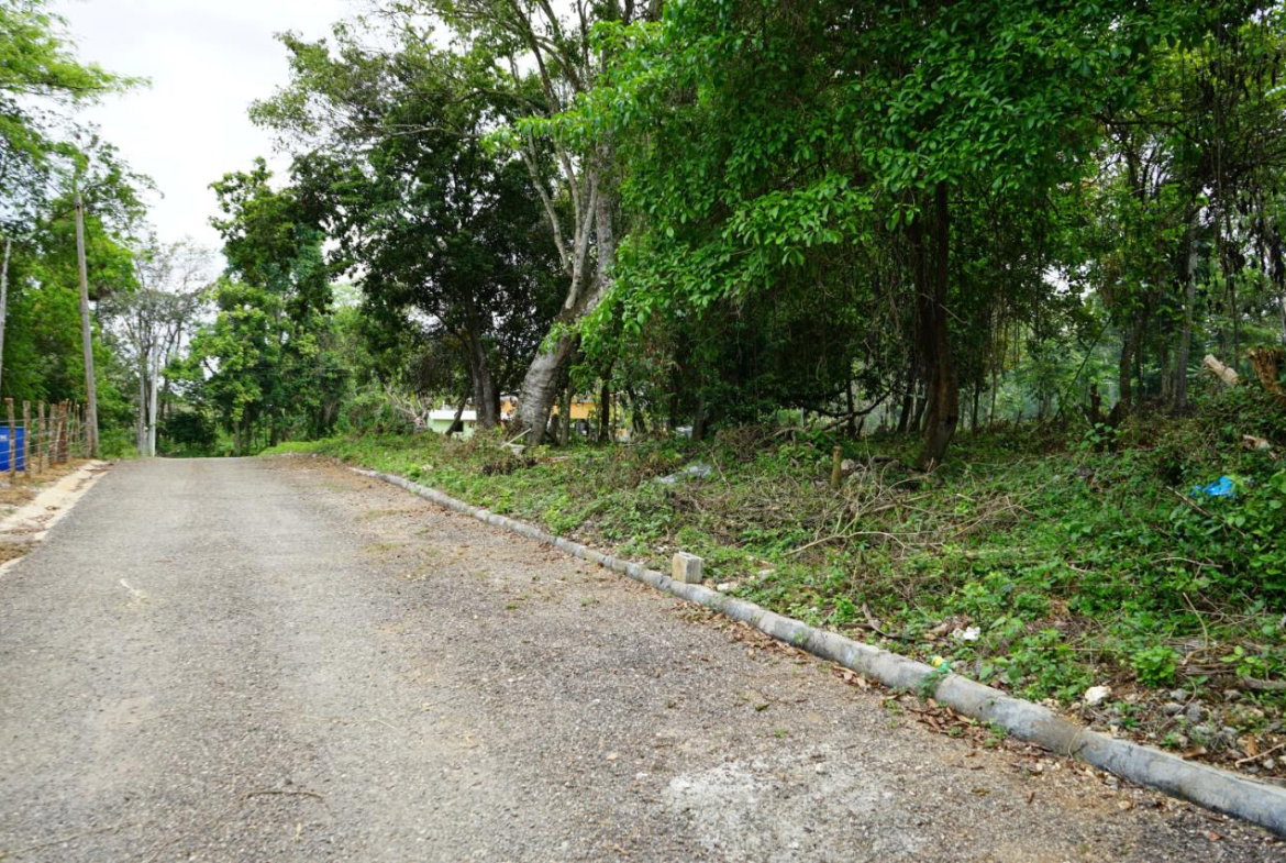 Fourth image of 3 Brighton Green, Brighton, in Santa Cruz, St. Elizabeth, Jamaica - property is For Sale