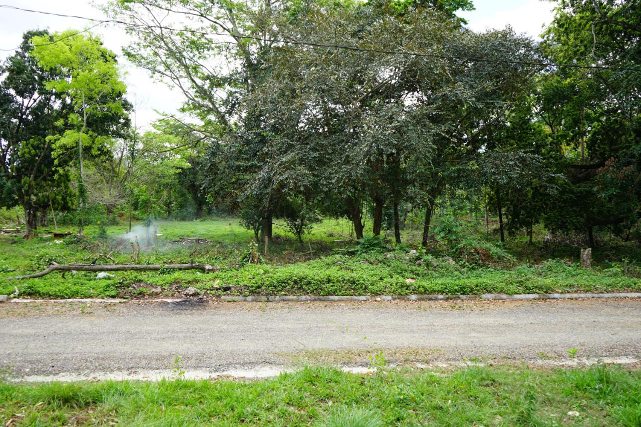 Fifth image of 3 Brighton Green, Brighton, in Santa Cruz, St. Elizabeth, Jamaica - property is For Sale