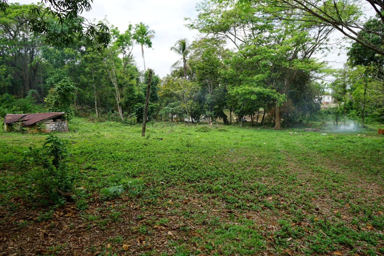 Sixth image of 3 Brighton Green, Brighton, in Santa Cruz, St. Elizabeth, Jamaica - property is For Sale