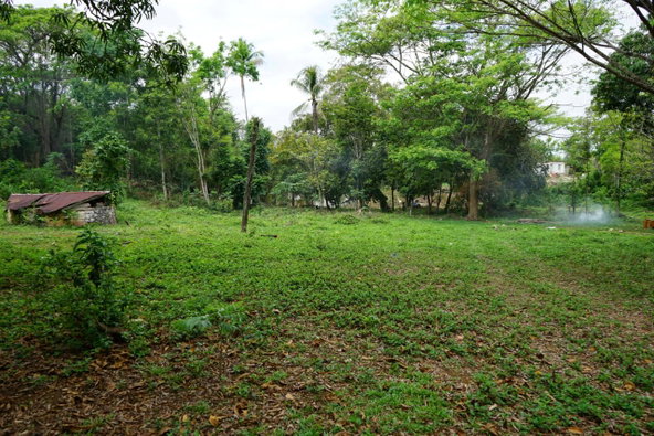 Sixth image of 3 Brighton Green, Brighton, in Santa Cruz, St. Elizabeth, Jamaica - property is For Sale