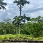 First image of 8-shenton Linstead in Linstead, St. Catherine, Jamaica - property is For Sale