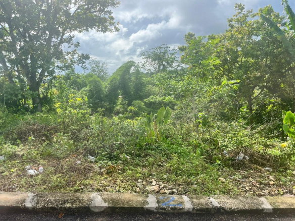 First image of 2-shenton Linstead in Linstead, St. Catherine, Jamaica - property is For Sale