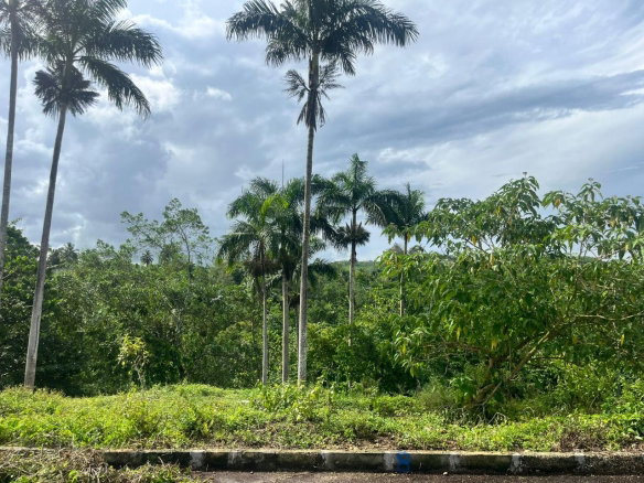 First image of 8-shenton Linstead in Linstead, St. Catherine, Jamaica - property is For Sale