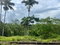 First image of 8-shenton Linstead in Linstead, St. Catherine, Jamaica - property is For Sale