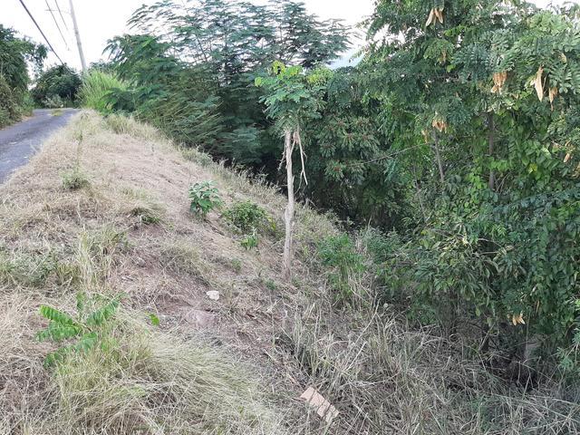 Third image of Skyline Close in Kingston 6, St. Andrew, Jamaica - property is For Sale