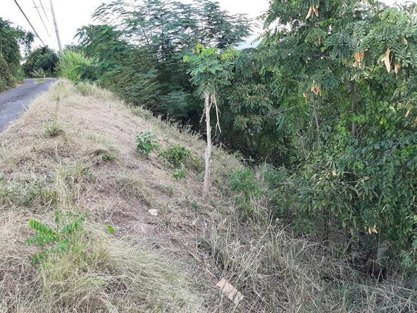 Third image of Skyline Close in Kingston 6, St. Andrew, Jamaica - property is For Sale