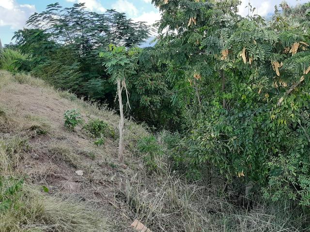 Fourth image of Skyline Close in Kingston 6, St. Andrew, Jamaica - property is For Sale