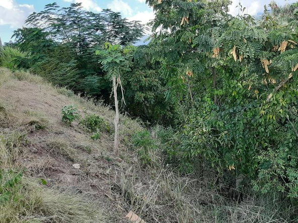 Fourth image of Skyline Close in Kingston 6, St. Andrew, Jamaica - property is For Sale