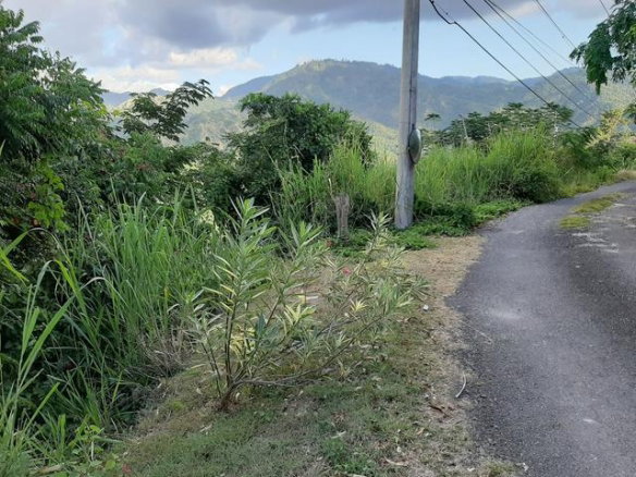 First image of Skyline Close in Kingston 6, St. Andrew, Jamaica - property is For Sale