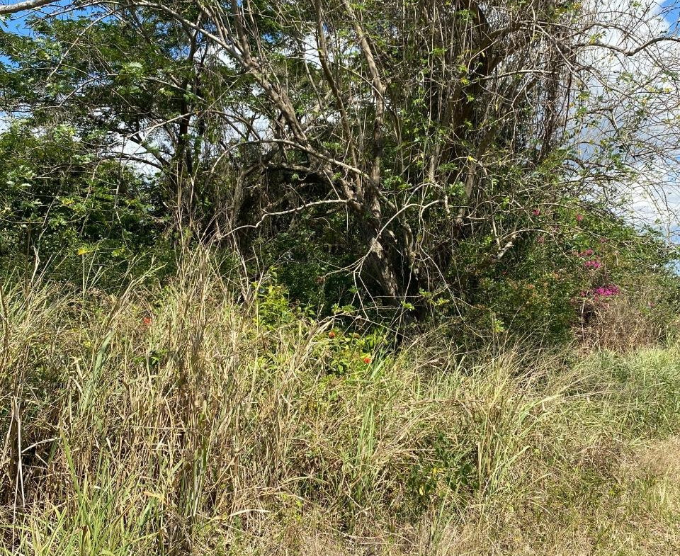Second image of Smithfield, Savanna la ma in SAVANNA LA MAR, Westmoreland, Jamaica - property is For Sale
