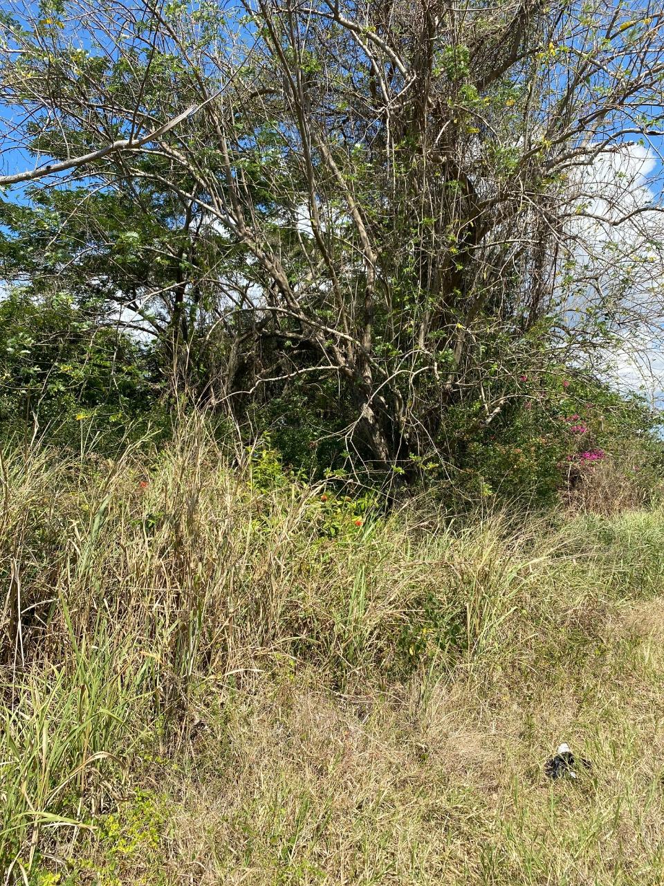 Second image of Smithfield, Savanna la ma in SAVANNA LA MAR, Westmoreland, Jamaica - property is For Sale