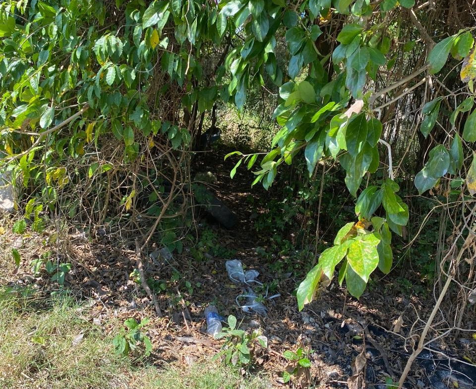 Twelfth image of Smithfield, Savanna la ma in SAVANNA LA MAR, Westmoreland, Jamaica - property is For Sale