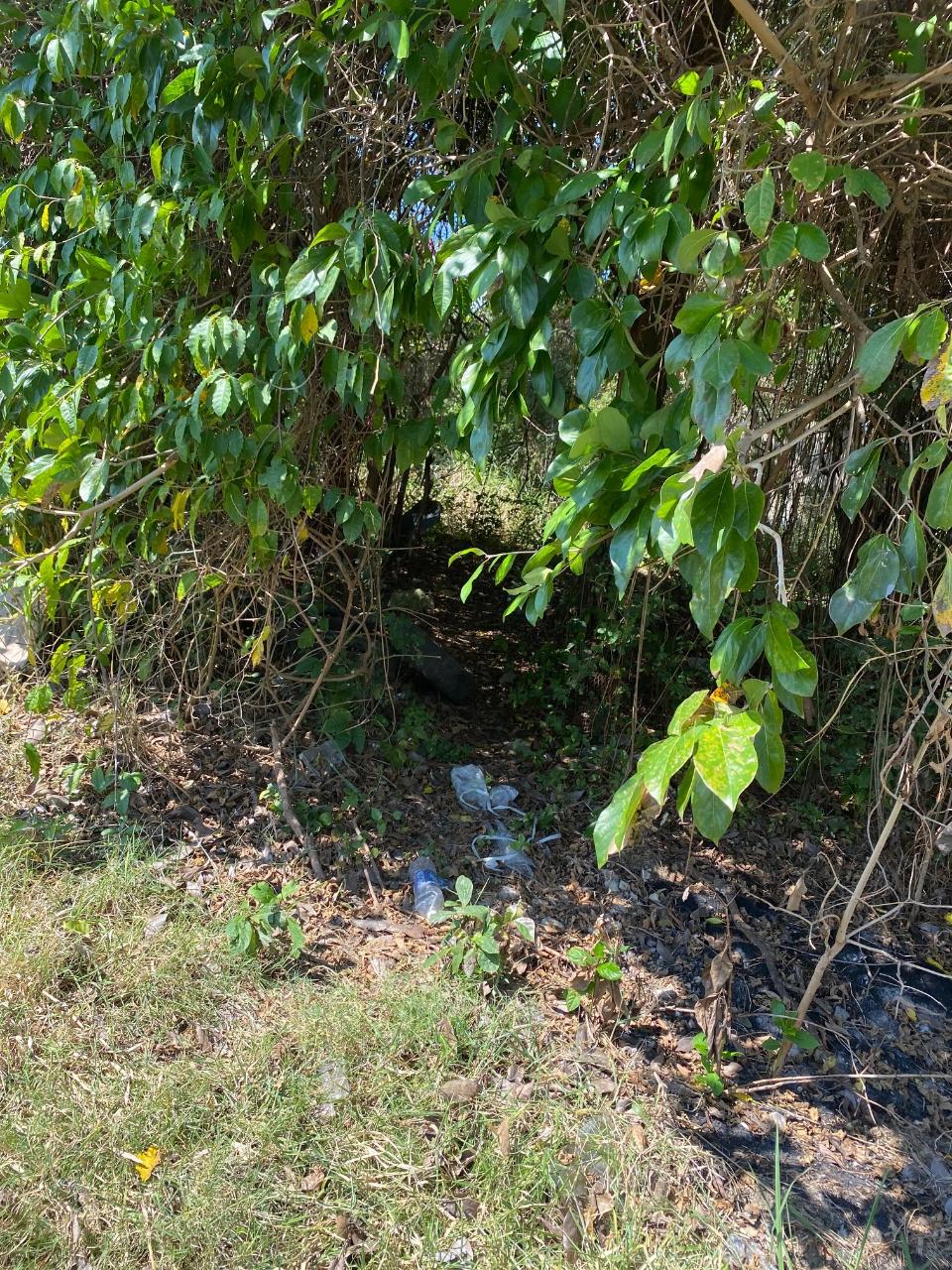 Twelfth image of Smithfield, Savanna la ma in SAVANNA LA MAR, Westmoreland, Jamaica - property is For Sale