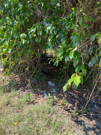 Twelfth image of Smithfield, Savanna la ma in SAVANNA LA MAR, Westmoreland, Jamaica - property is For Sale