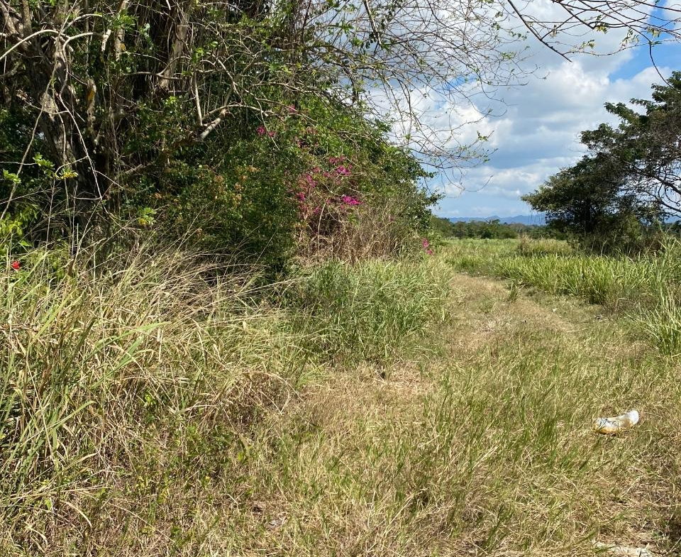 Third image of Smithfield, Savanna la ma in SAVANNA LA MAR, Westmoreland, Jamaica - property is For Sale
