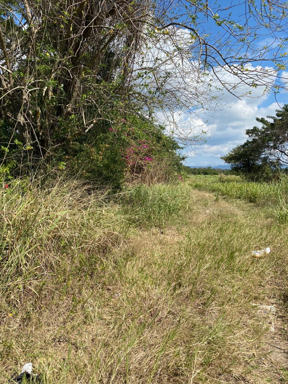 Third image of Smithfield, Savanna la ma in SAVANNA LA MAR, Westmoreland, Jamaica - property is For Sale