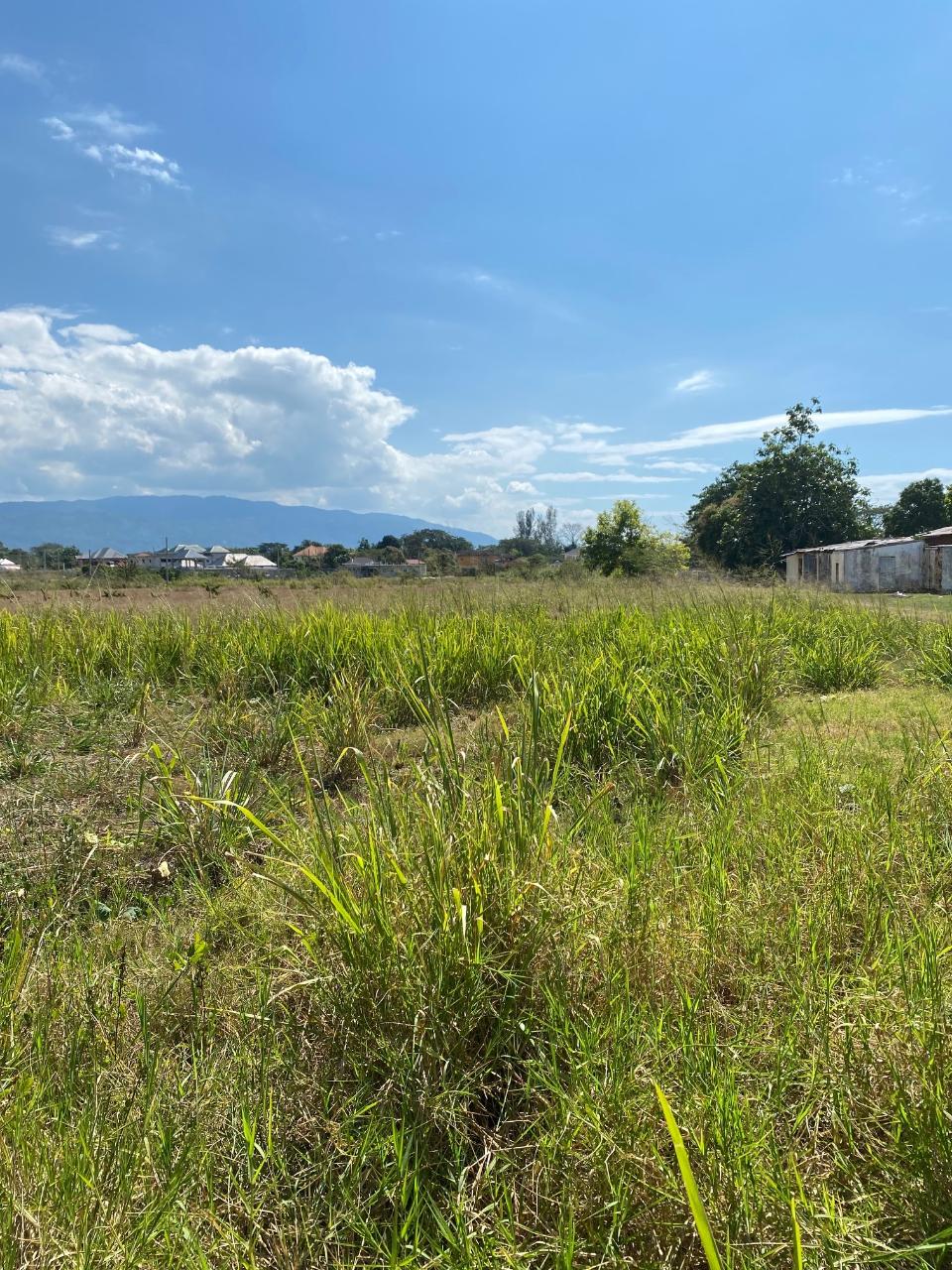 Fifth image of Smithfield, Savanna la ma in SAVANNA LA MAR, Westmoreland, Jamaica - property is For Sale