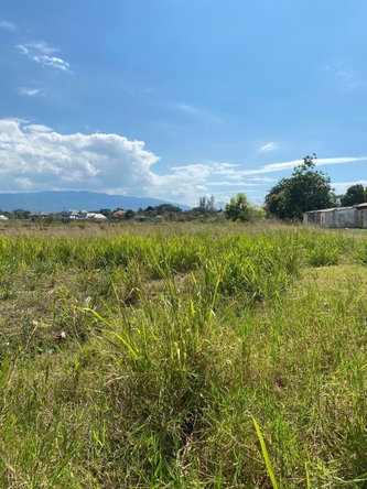 Fifth image of Smithfield, Savanna la ma in SAVANNA LA MAR, Westmoreland, Jamaica - property is For Sale