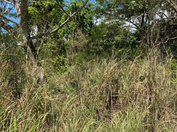 First image of Smithfield, Savanna la ma in SAVANNA LA MAR, Westmoreland, Jamaica - property is For Sale