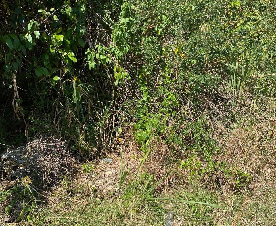 Ninth image of Smithfield, Savanna la ma in SAVANNA LA MAR, Westmoreland, Jamaica - property is For Sale