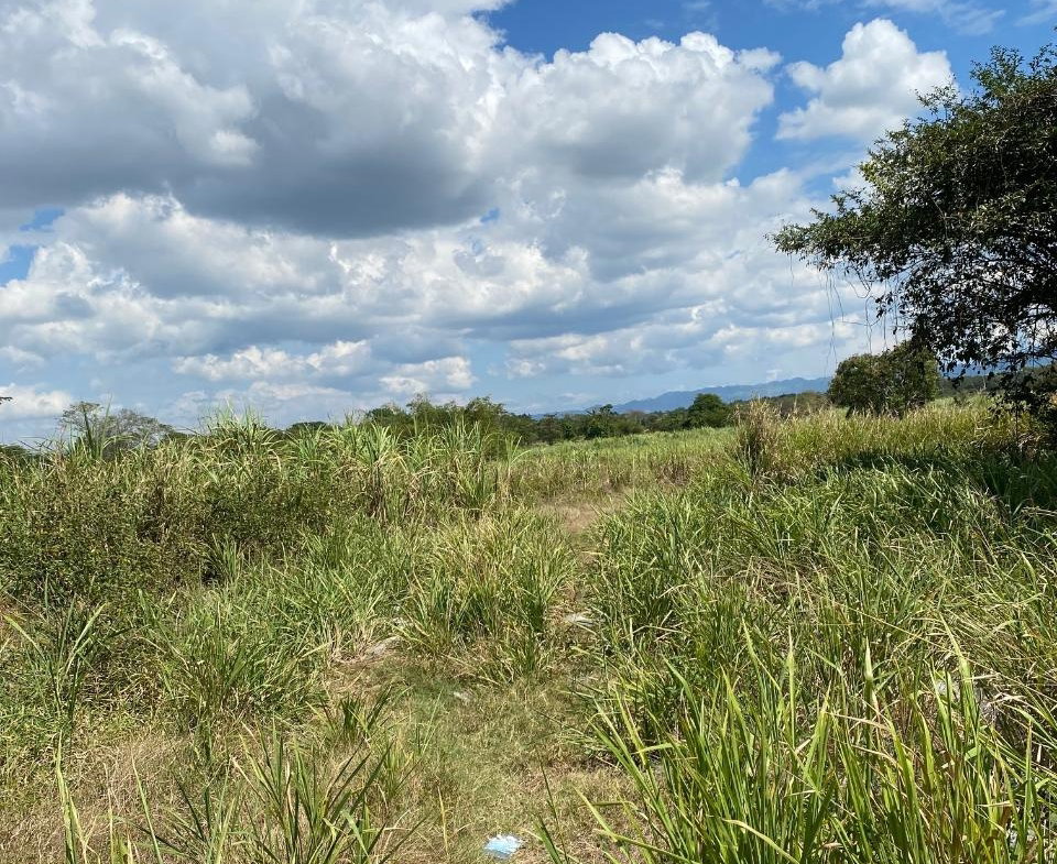 Tenth image of Smithfield, Savanna la ma in SAVANNA LA MAR, Westmoreland, Jamaica - property is For Sale