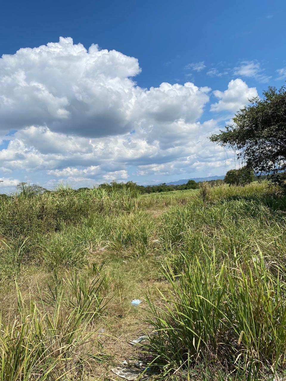 Tenth image of Smithfield, Savanna la ma in SAVANNA LA MAR, Westmoreland, Jamaica - property is For Sale