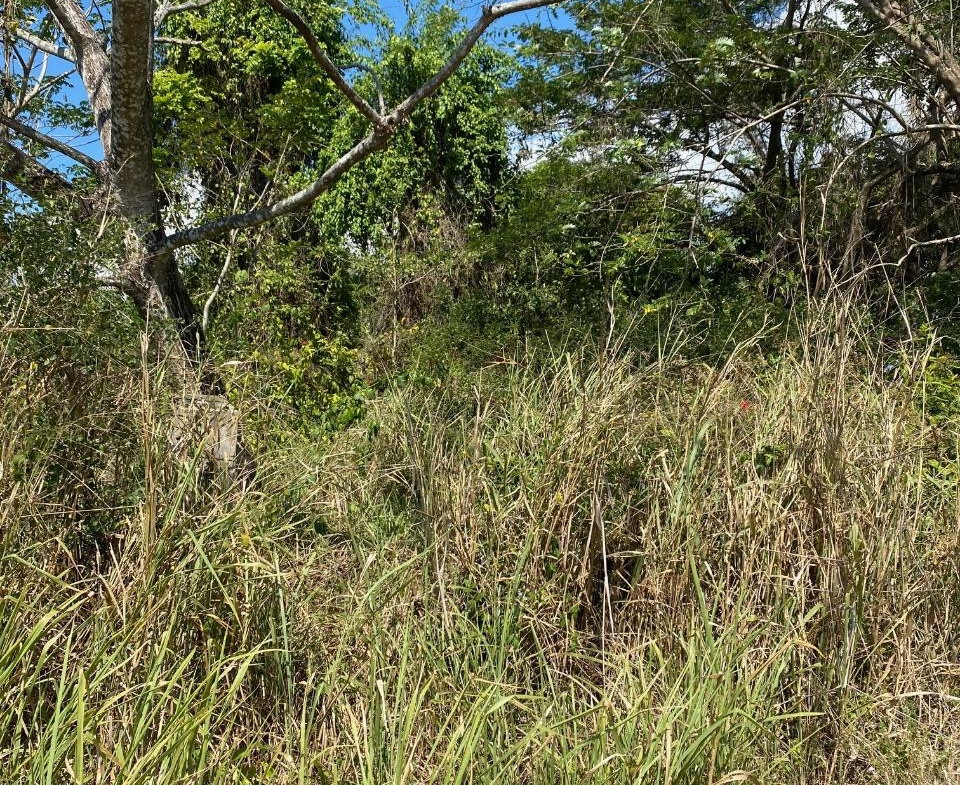 First image of Smithfield, Savanna la ma in SAVANNA LA MAR, Westmoreland, Jamaica - property is For Sale