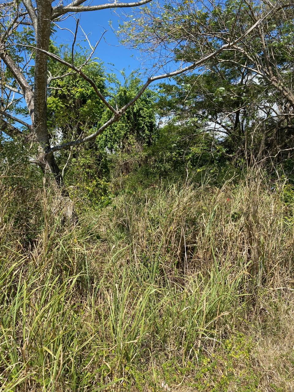 First image of Smithfield, Savanna la ma in SAVANNA LA MAR, Westmoreland, Jamaica - property is For Sale