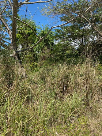 First image of Smithfield, Savanna la ma in SAVANNA LA MAR, Westmoreland, Jamaica - property is For Sale