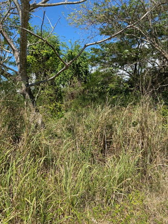 First image of Smithfield, Savanna la ma in SAVANNA LA MAR, Westmoreland, Jamaica - property is For Sale