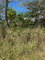 First image of Smithfield, Savanna la ma in SAVANNA LA MAR, Westmoreland, Jamaica - property is For Sale