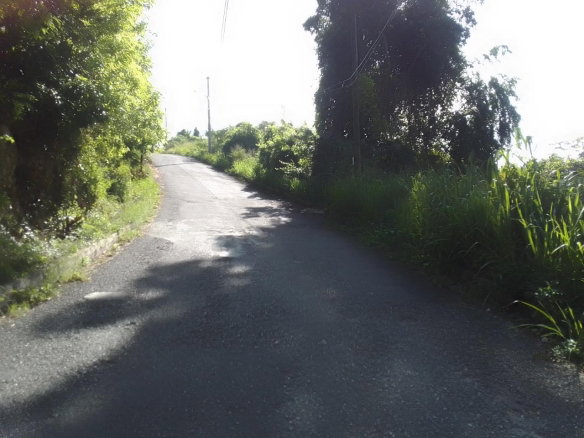 First image of 57 Bellevue Drive, Smokeyval in Kingston 8, St. Andrew, Jamaica - property is For Sale