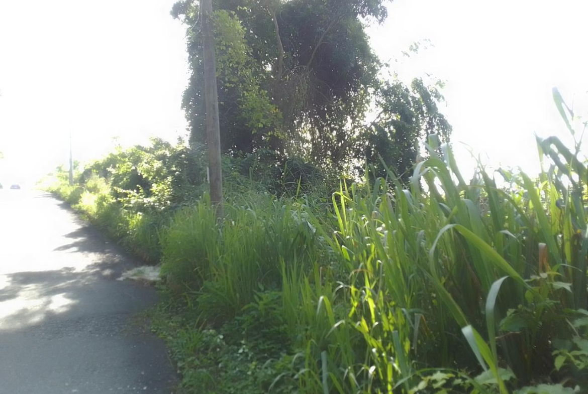 Eighth image of 57 Bellevue Drive, Smokeyval in Kingston 8, St. Andrew, Jamaica - property is For Sale