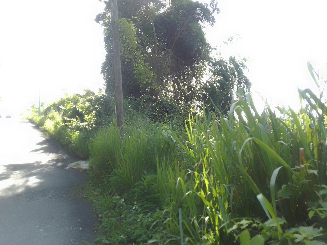 Eighth image of 57 Bellevue Drive, Smokeyval in Kingston 8, St. Andrew, Jamaica - property is For Sale