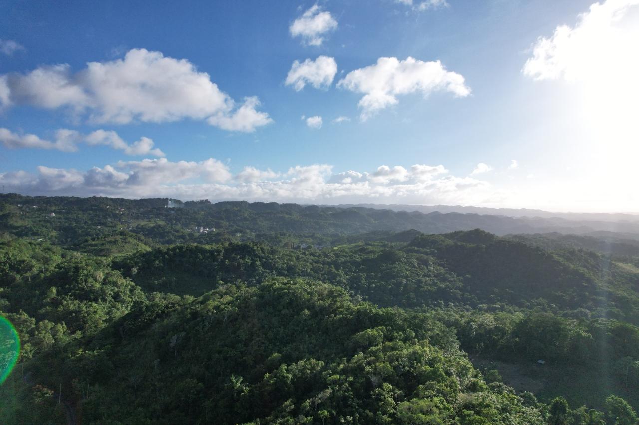 Residential-Lot-for-Sale-in-Southfield-Estate-St.-Ann-Jamaica Second image of Lot#105 Southfield, Runa in Runaway Bay, St. Ann, Jamaica - property is For Sale