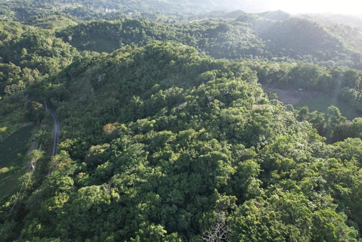 First image of Lot#105 Southfield, Runa in Runaway Bay, St. Ann, Jamaica - property is For Sale