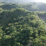 First image of Lot#105 Southfield, Runa in Runaway Bay, St. Ann, Jamaica - property is For Sale