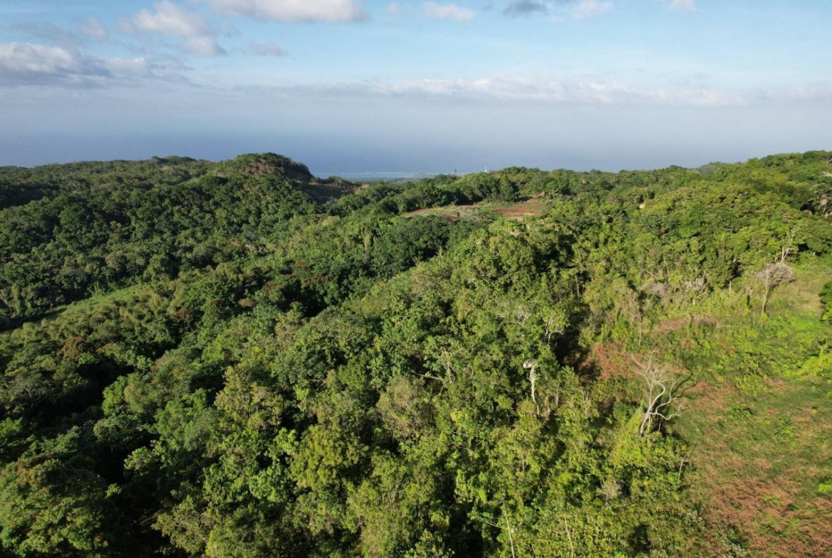Fourth image of Lot#105 Southfield, Runa in Runaway Bay, St. Ann, Jamaica - property is For Sale